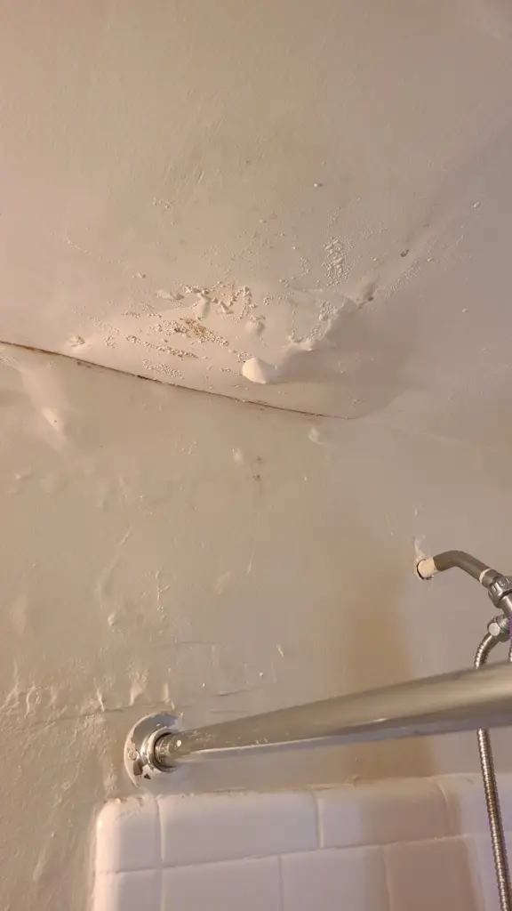 Picture of bathroom ceiling above shower with visible water bubble distorting the paint and discoloration around the leak.